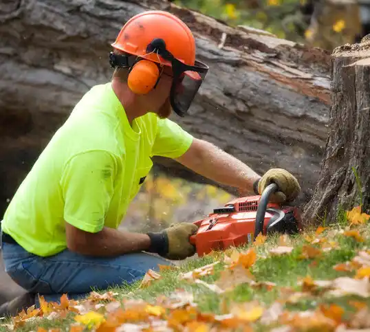 tree services Jeanerette